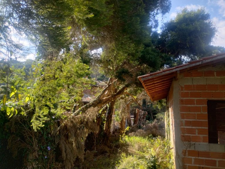 IMG-20240806-WA0111