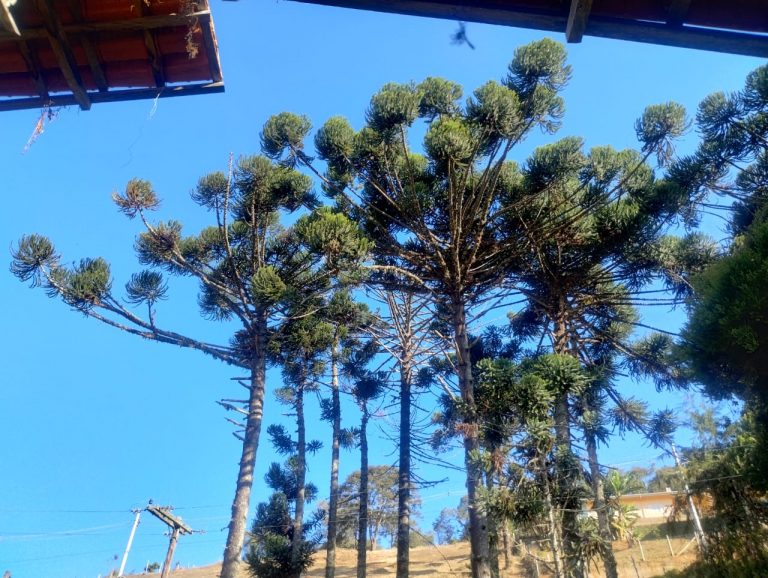 IMG-20240806-WA0112