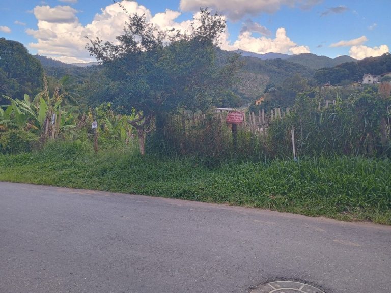 IMG_20241118_164336909_HDR