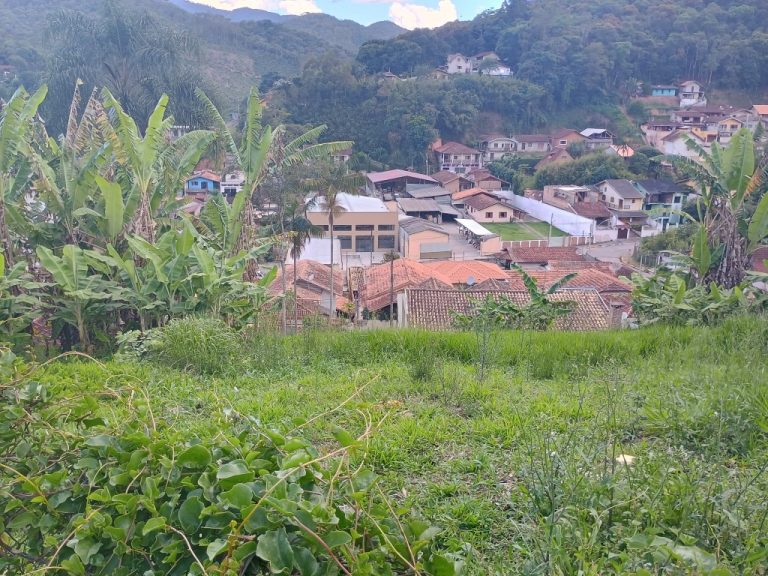 IMG_20241118_164405780_HDR