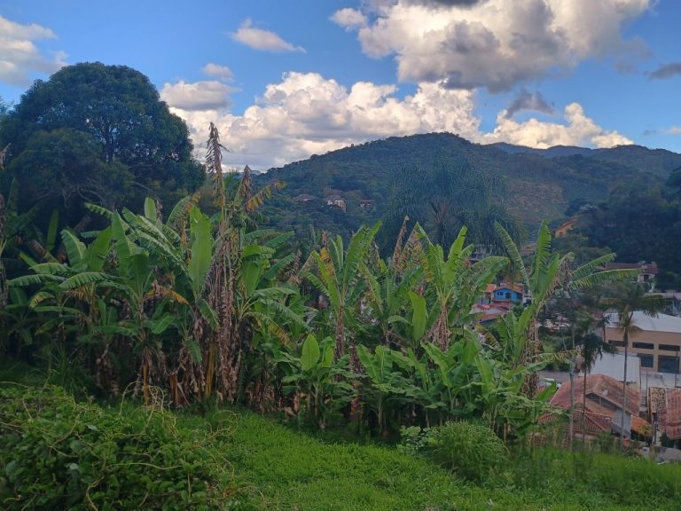 IMG_20241118_164420005_HDR