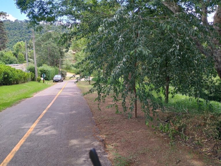 IMG_20241128_110911508_HDR