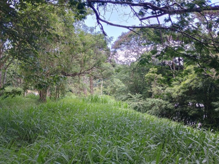 IMG_20241128_110950633_HDR