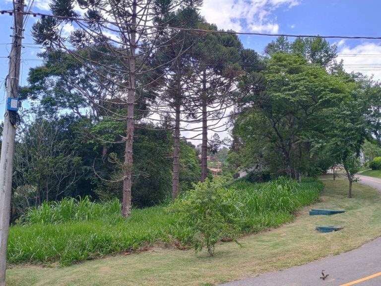 IMG_20241128_111216999_HDR
