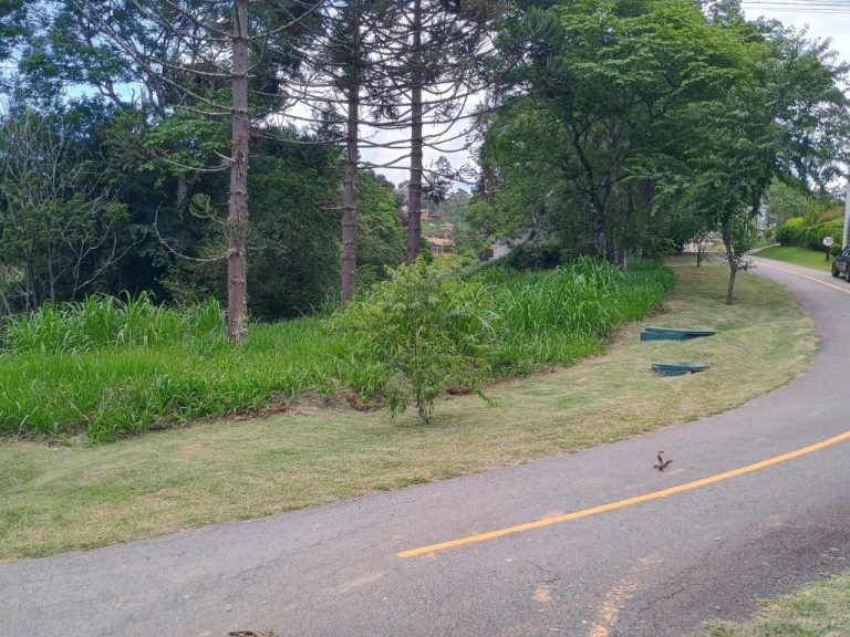 IMG_20241128_111218228_HDR
