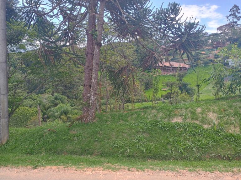 IMG_20241128_112221749_HDR