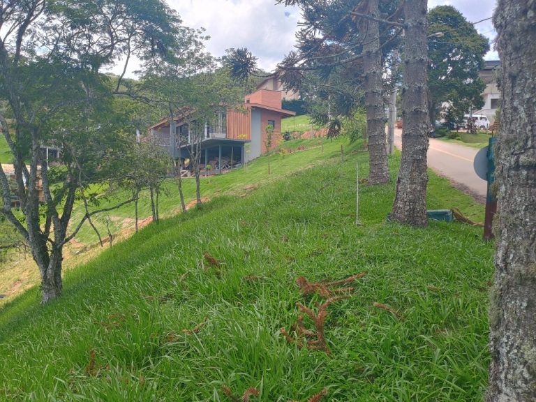 IMG_20241128_112319799_HDR (1)