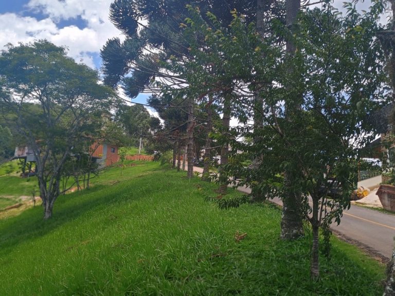 IMG_20241128_112423539_HDR