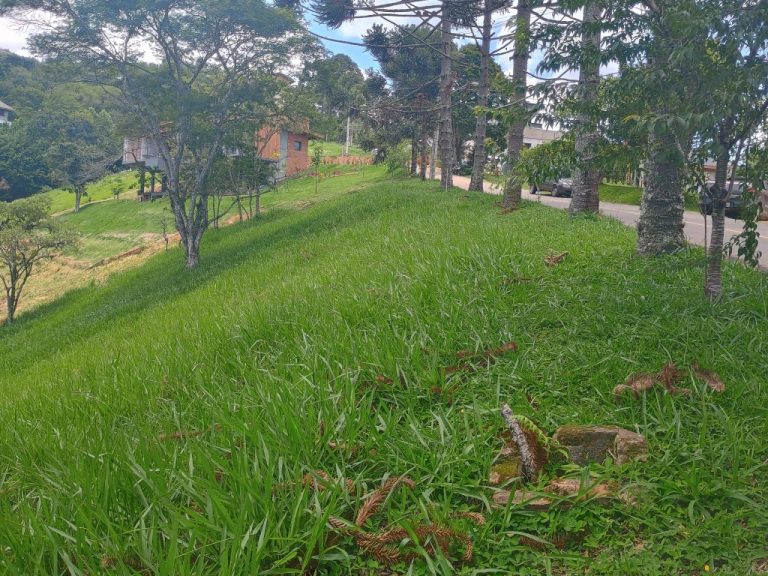 IMG_20241128_112428448_HDR