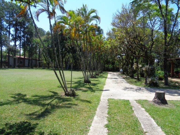 DSC00124