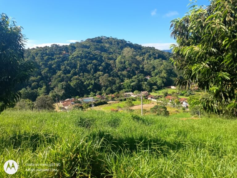 IMG_20250411_150615353_HDR