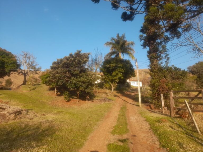 WhatsApp Image 2025-07-09 at 16.44.46